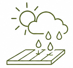 Home iconrainsun